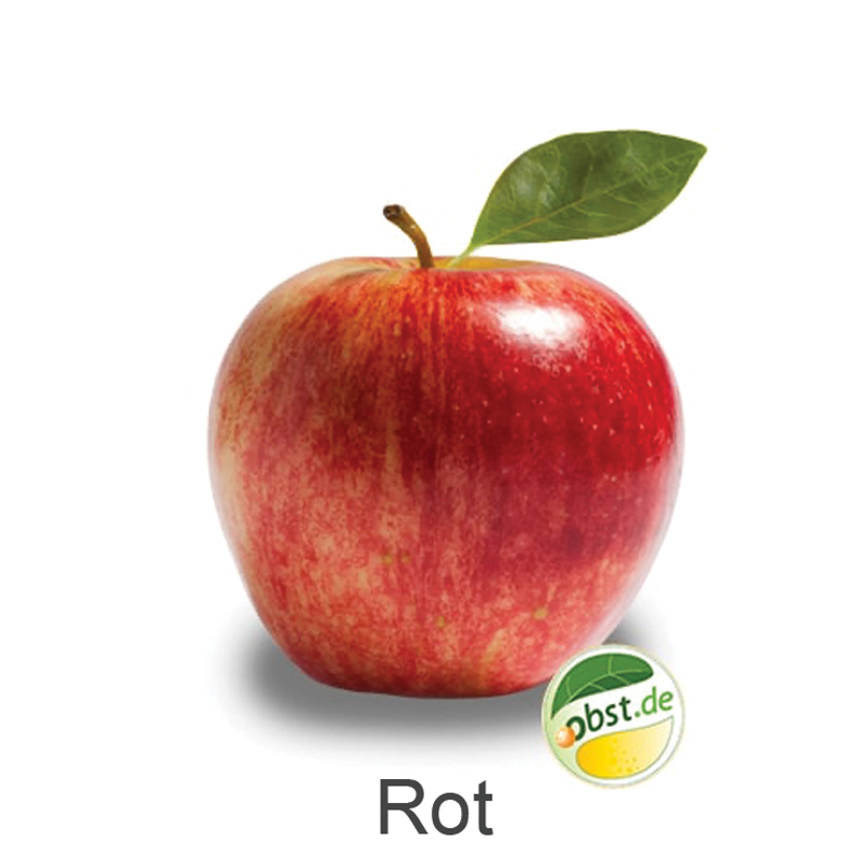 Rot