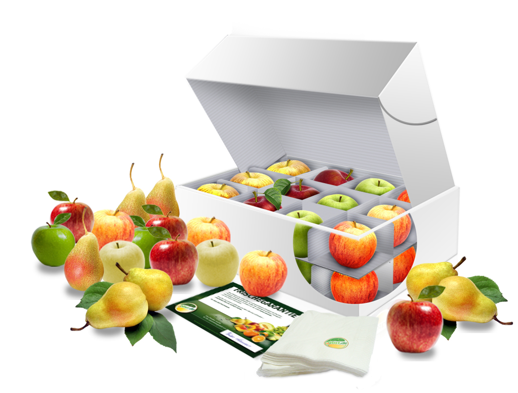 Bürobox Apfel + Birne