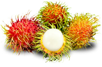 Rambutan