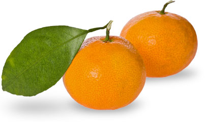 Satsuma